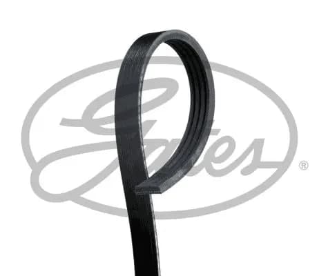 ALTERNATÖR V KAYIŞI GATES 4PK750